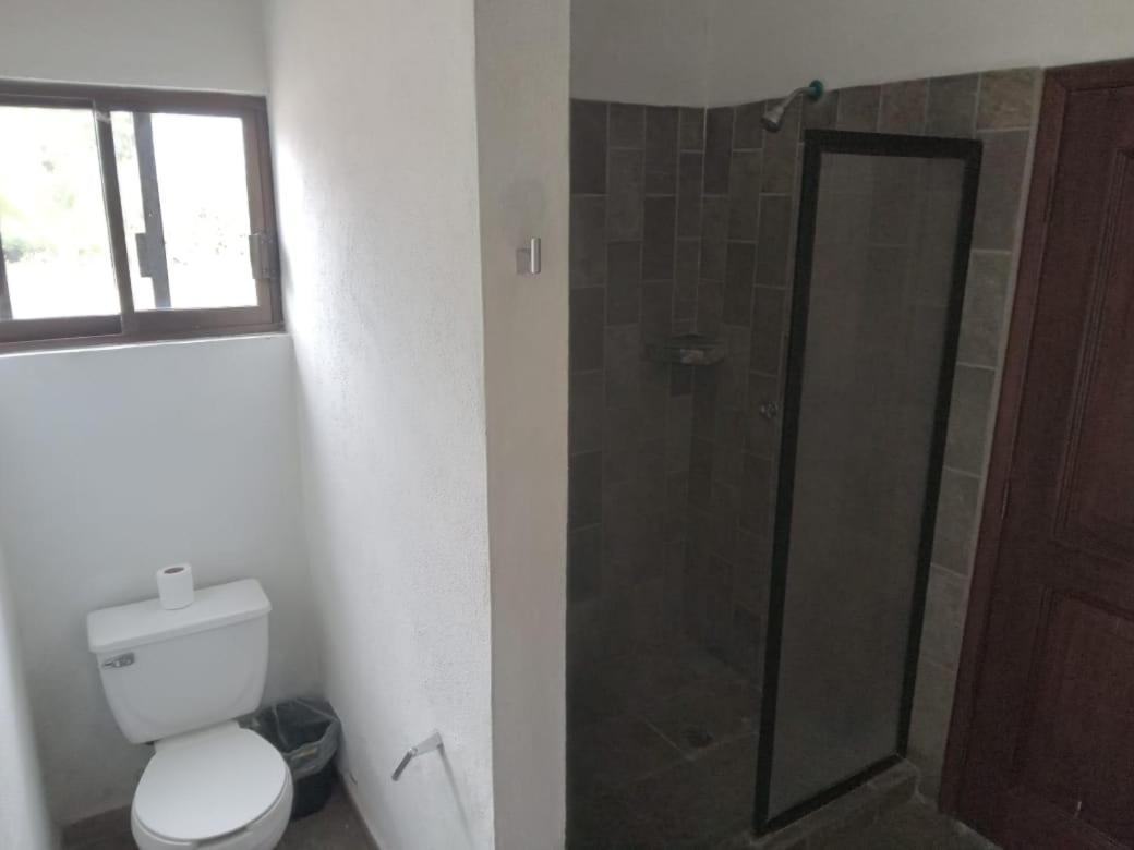 Casona Otel San José del Cabo Dış mekan fotoğraf